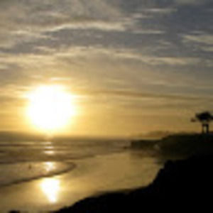 Meet your Posher, Ariel